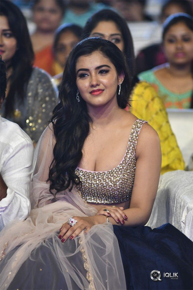 Nela-Ticket-Movie-Audio-Launch-Photos